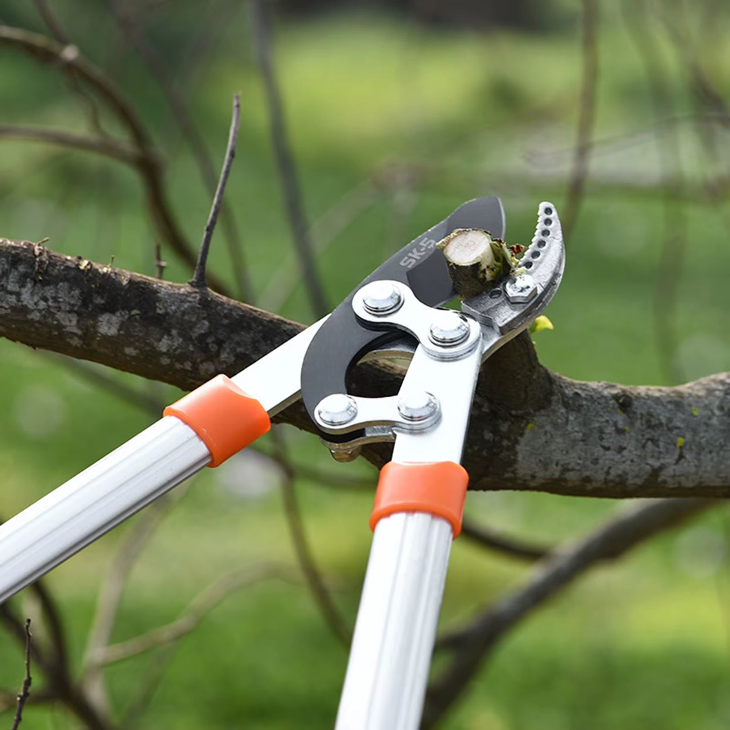 Loppers Sharp Anvil Lopper Professional Gardening Pruning Lopper Ratchet Loppers Secateurs Gardening Tool Kit